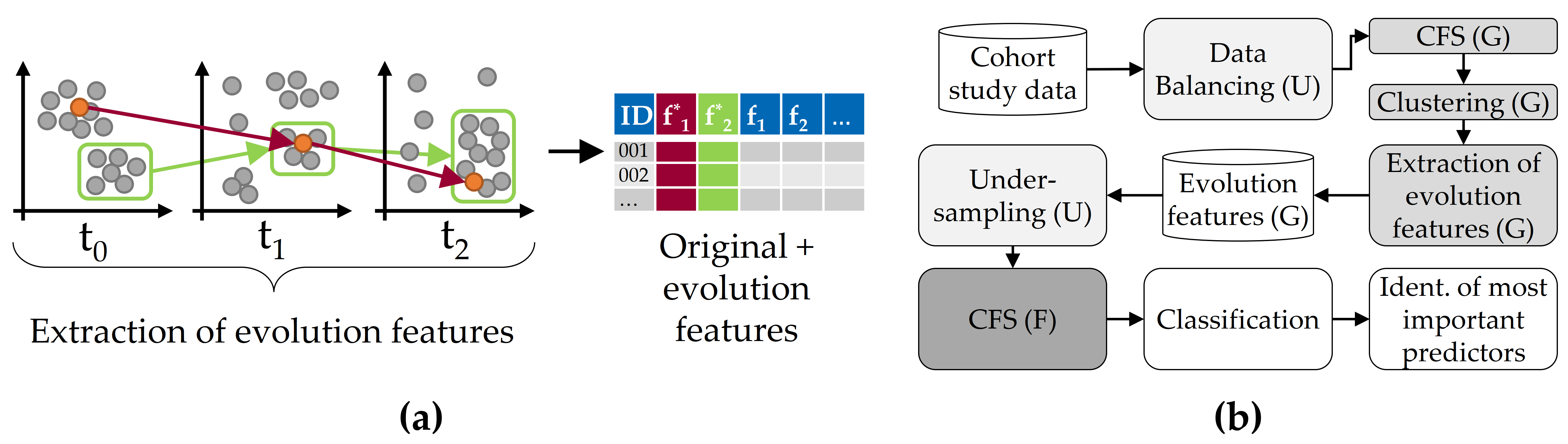Concept of evolution feature extraction for classification performance improvement. (a) Clustering of longitudinal cohort data and subsequent generation of evolution features from the change of individuals (red) and whole clusters (green). (b) Overview of the classification workflow.