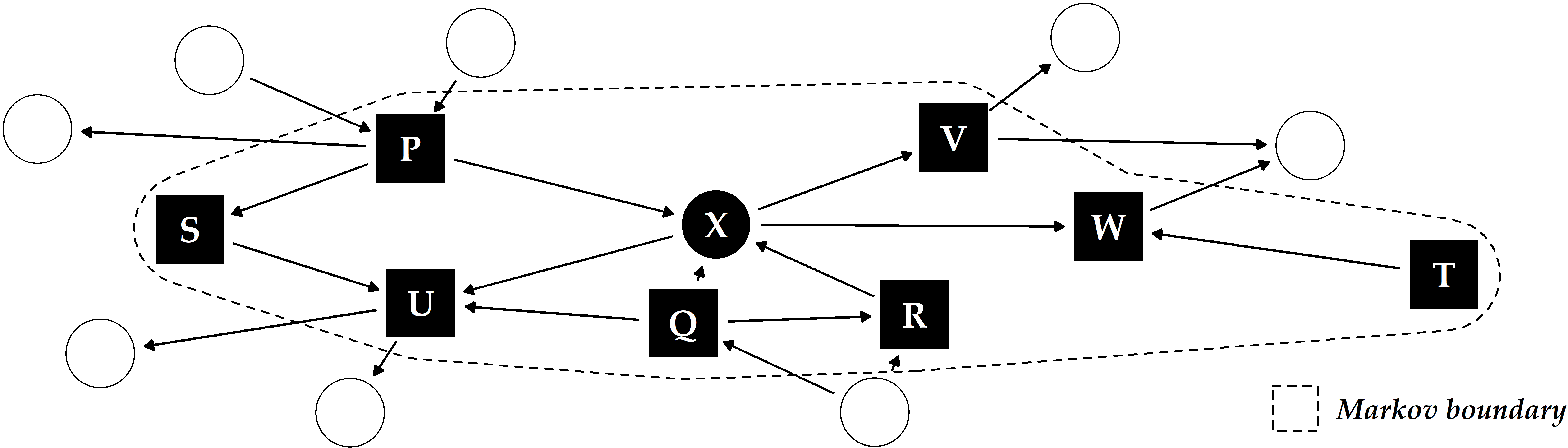 Illustrative example of a directed acyclic graph and Markov boundary for the target X. The other labeled variables P-W constitute the Markov boundary of X, consisting of its parents, children and any additional parents of its children (“spouses”).
